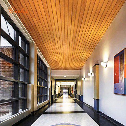 Carlos Buckle the ceiling series Ceilingpanel image4